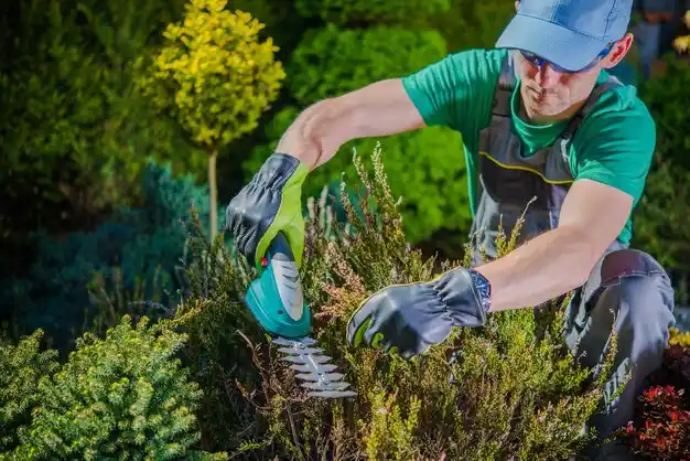 landscaping services Irvington
